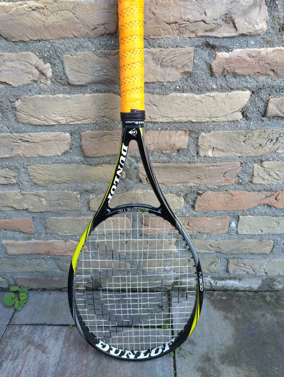Dunlop Biomimetic M500 tourracket