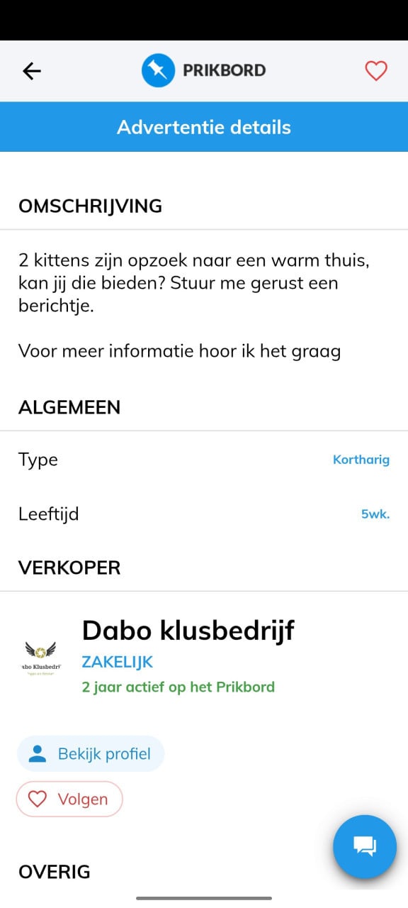 Kittens hier niet zomaar aanbetalen 😉👈 heeft steeds andere te koop