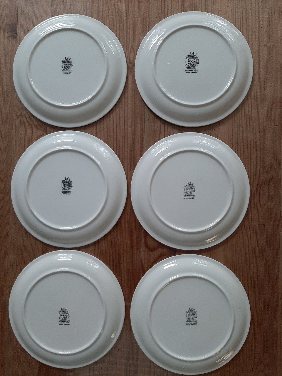 BOERENBONT BOCH - 6 GEBAKBORDJES - DIAMETER 16 CM .