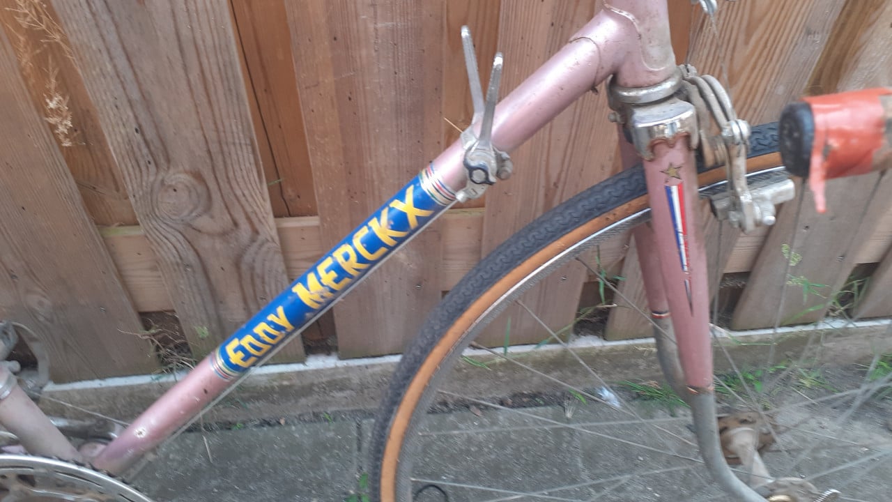 4 x Racefiets GIANT & GAZELLE -XXL &. Motobecane ....& EDDIE-MERKX