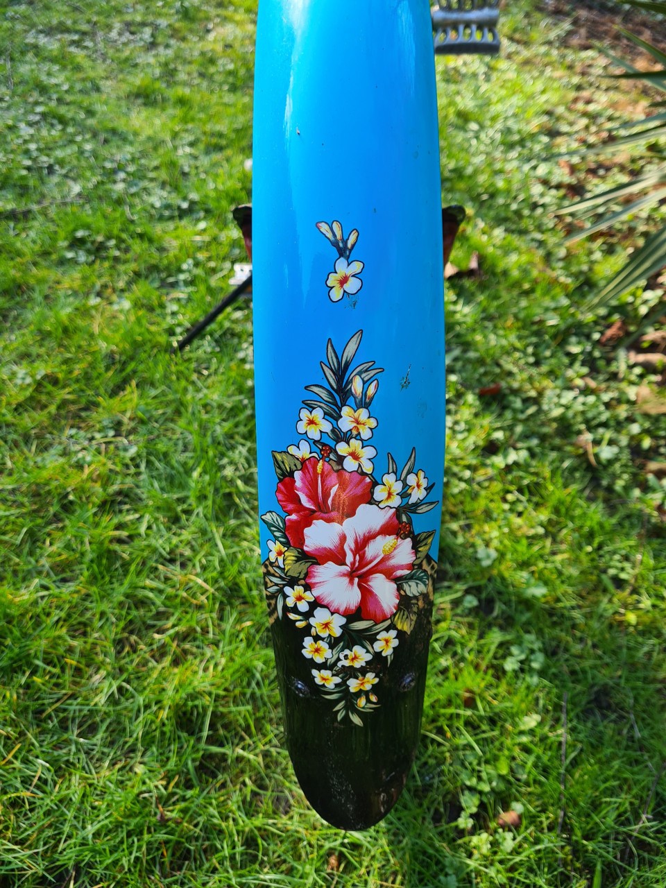 Tiki Beachcruiser, zeer apart.