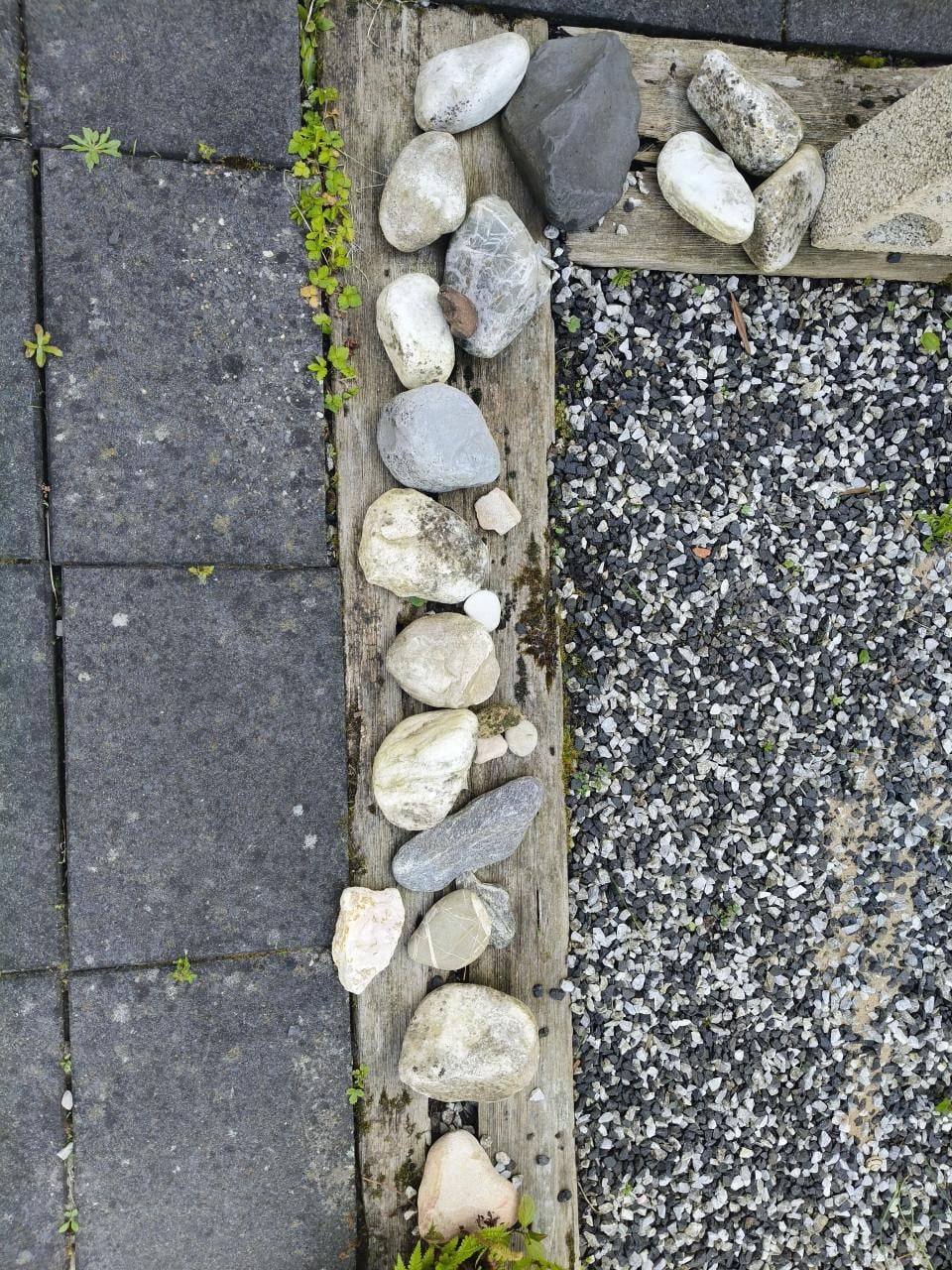 Schelpen en/of stenen