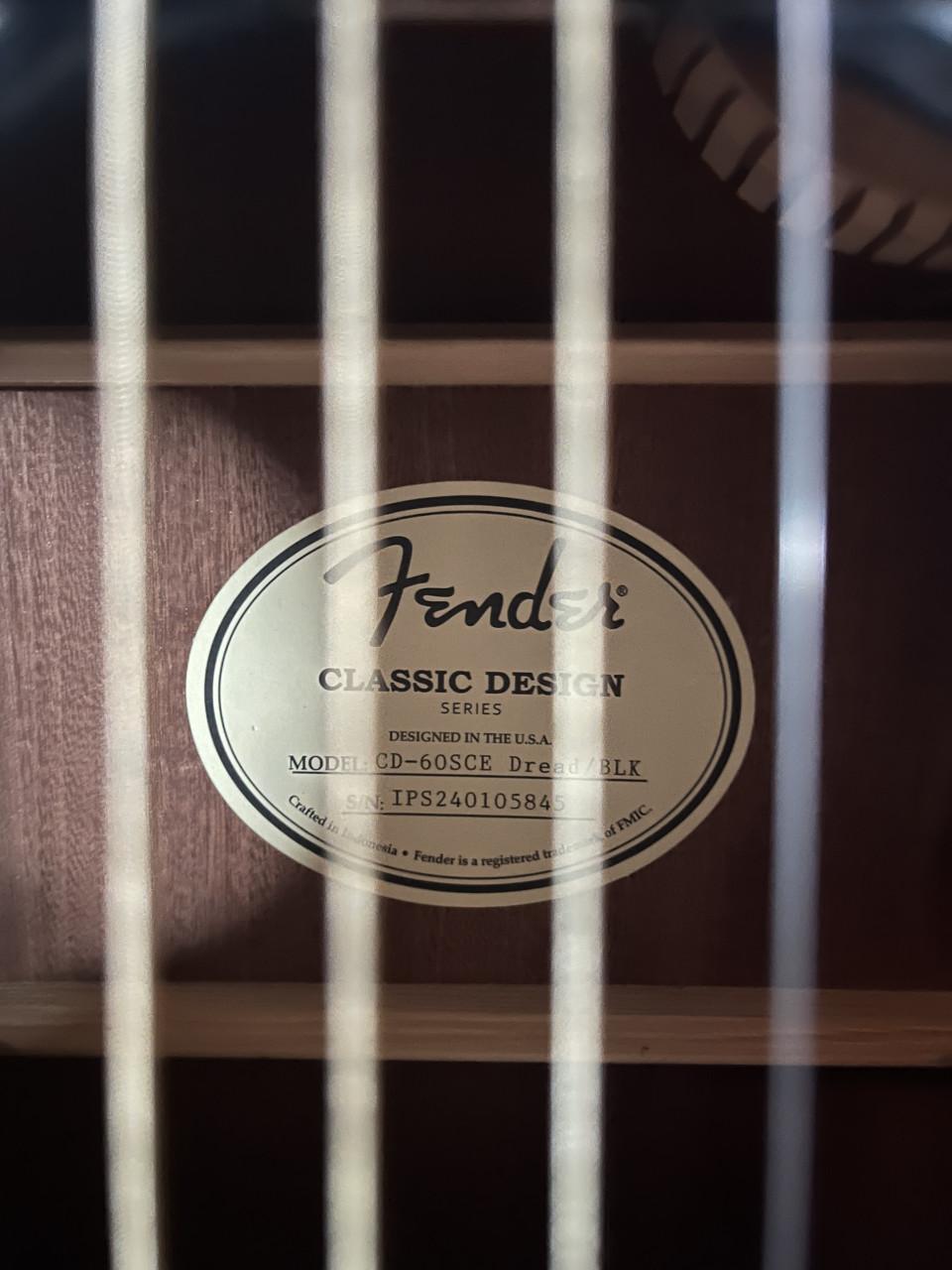Martin , Fender Akoestische gitaren