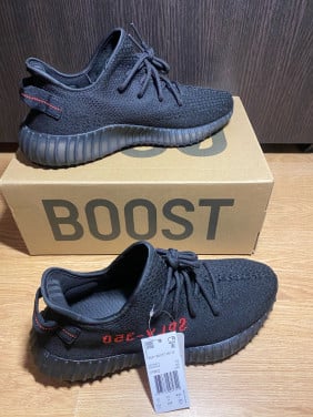 Yeezy boost 350 v2