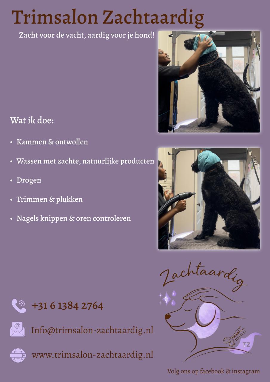 Zachtaardig & stressvrij – gediplomeerde vachtverzorging Terneuzen