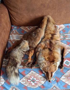 Vos stola en nertsenbont stola