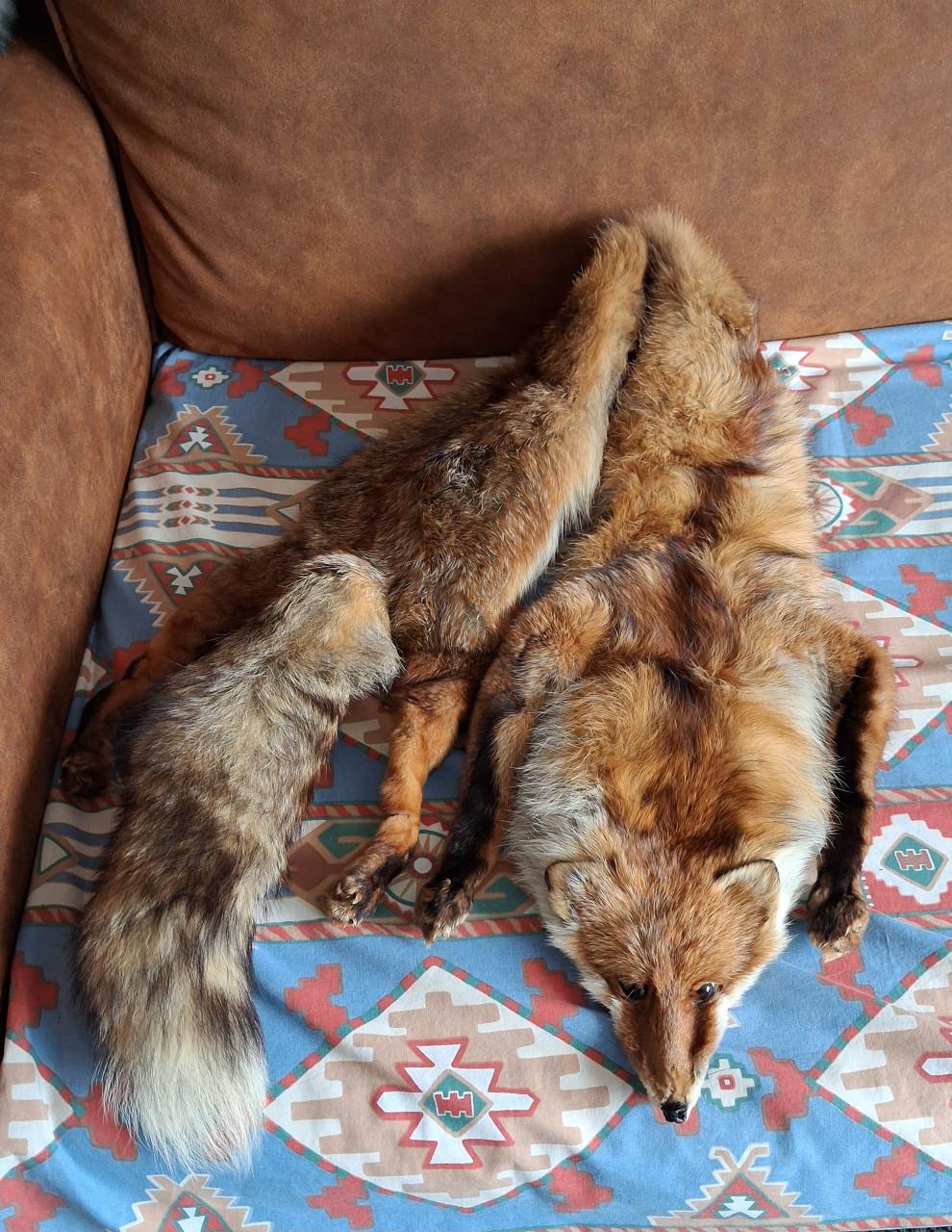 Vos stola en nertsenbont stola