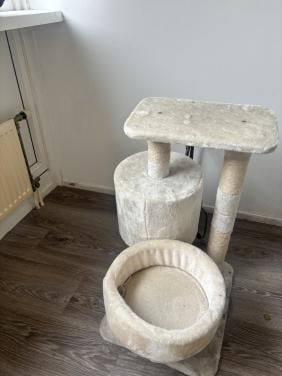Krap paal kat