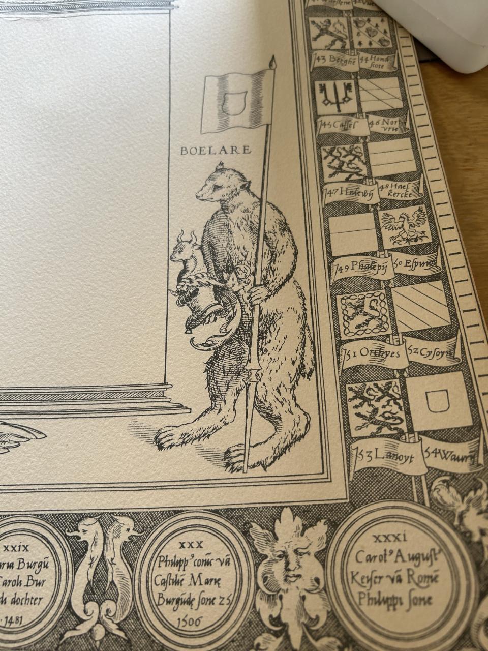 Cartografie kaart Vlaanderen