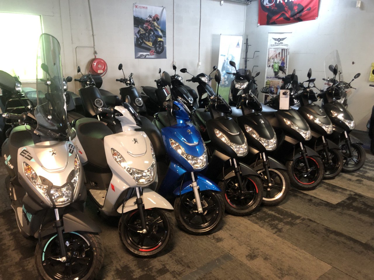 GROOTAANBOD 120X PIAGGIO ZIP VESPA SPRINT AEROX PEUGEOT SPEEDFIGHT KISBEE