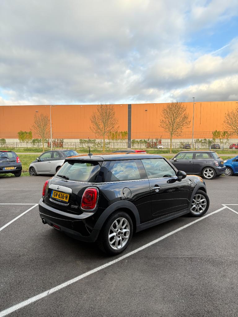 Mini Cooper 1.5 - business