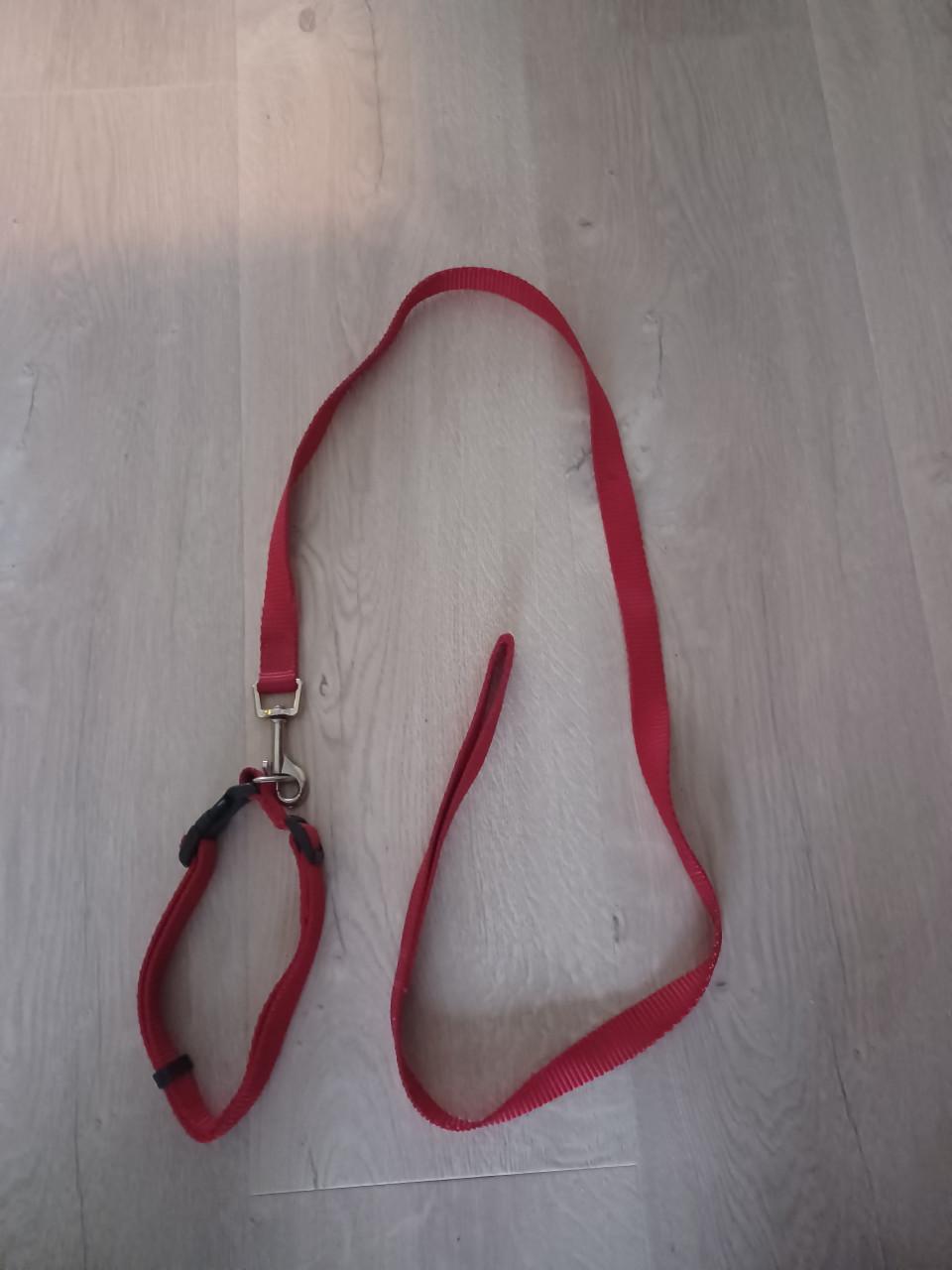 Hondenjasjes en riemen