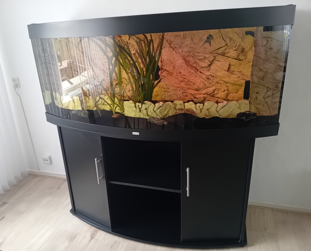 Juwel aquarium