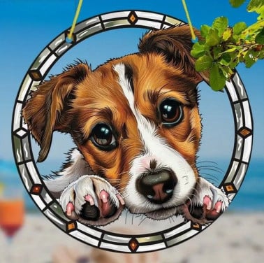Raamhanger Jack Russel