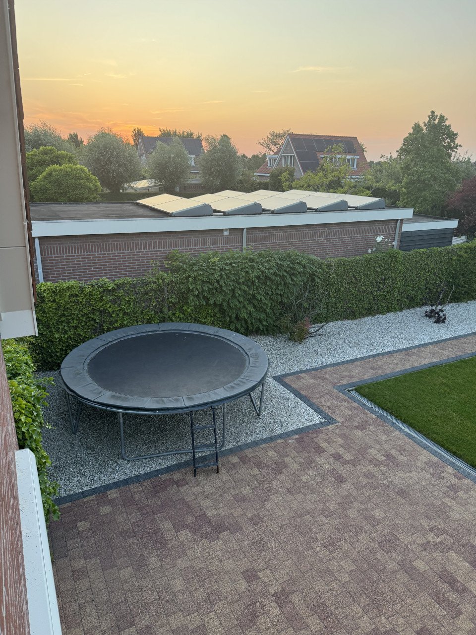 Trampoline
