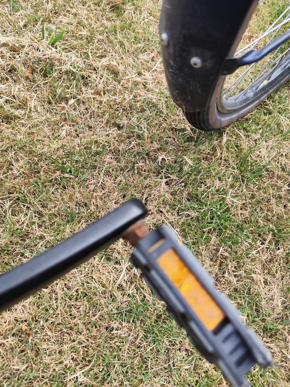 Elektrische fiets dames
