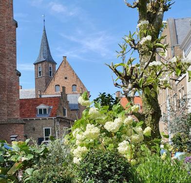 Fotoworkshop (groot) ouder en kind