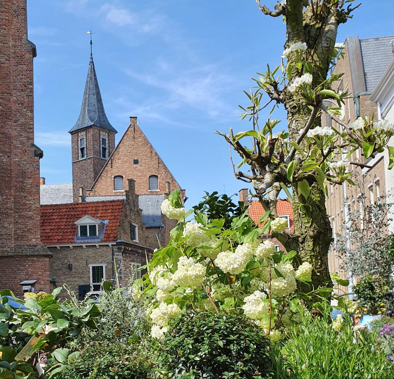 Fotoworkshop (groot) ouder en kind