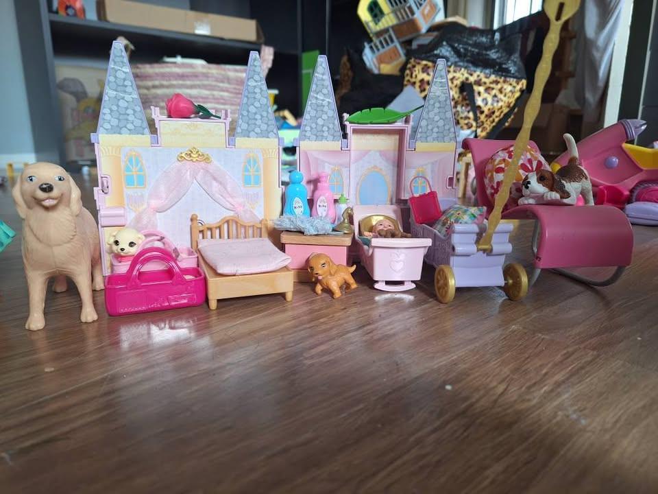 Barbies, huis, kleding, meubels, auto´s, sneeuwscooter en dieren