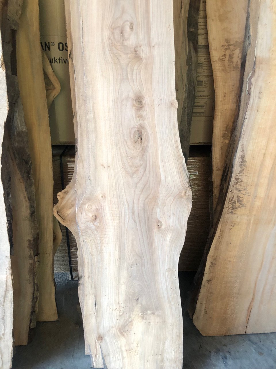 Zeeuws iepen boomstamblad 230 x 40 x 5, 40 euro bij hhzb