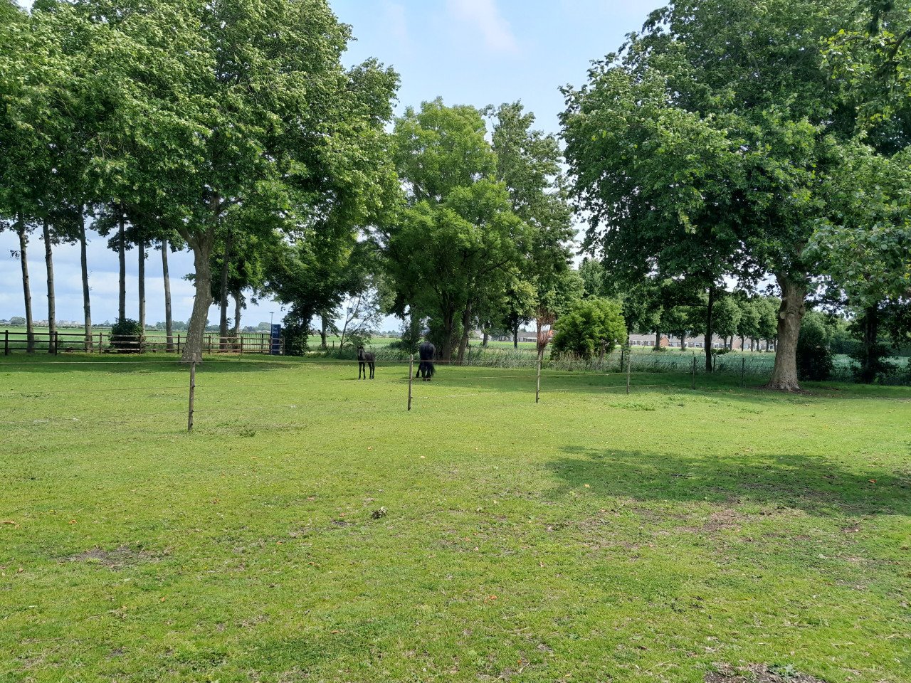 Campererf