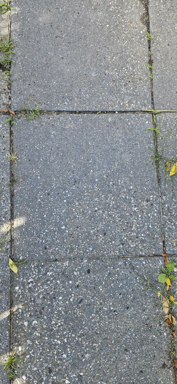 Gratis | Betontegels 32 stuks 50x50cm