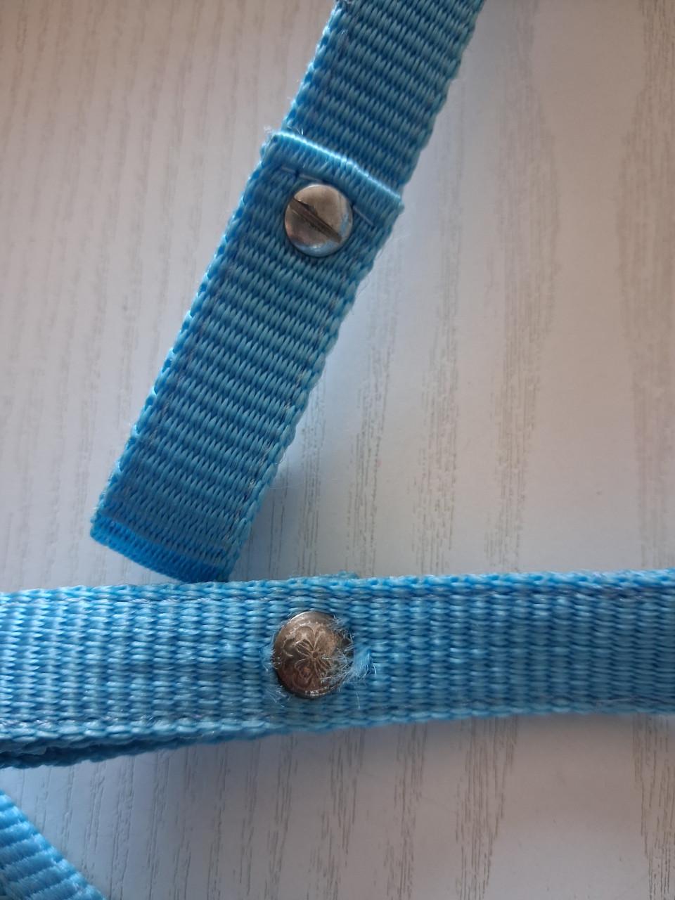 Pony hoofdstel met teugels Nylon western