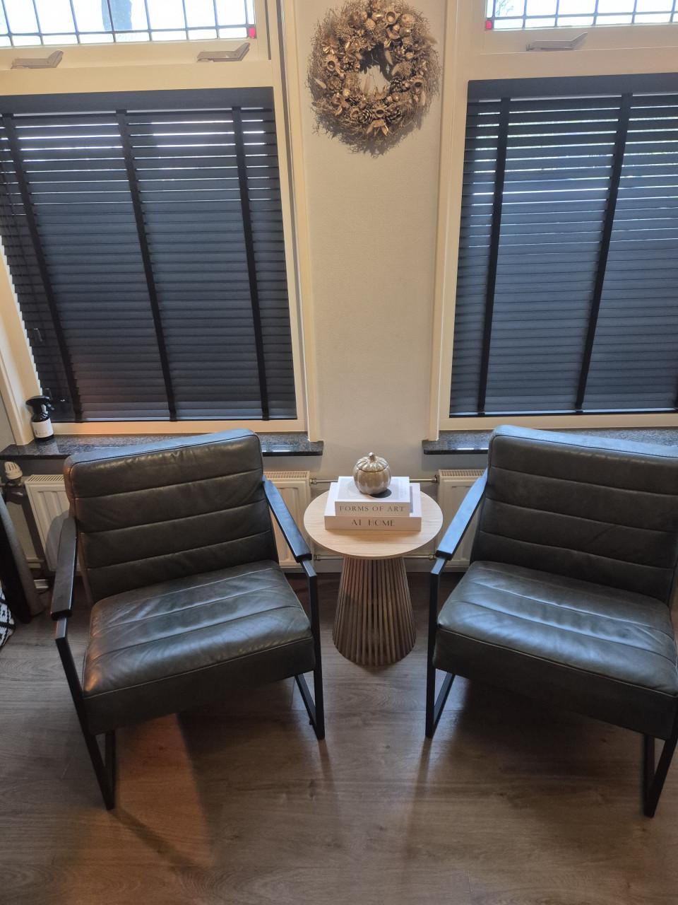 2 x groene leren fauteuil van merk Volt