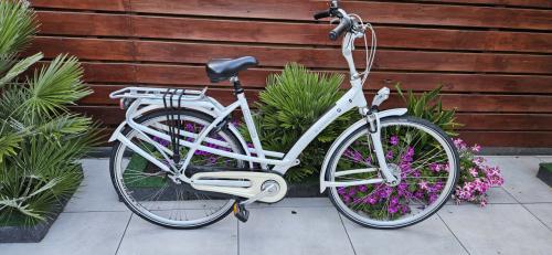 Batavus  Mambo Damesfiets
