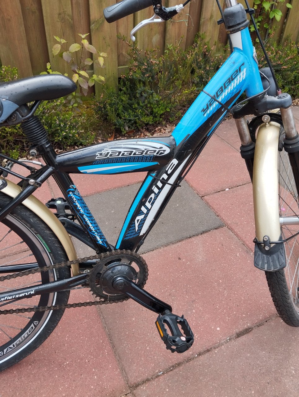 ALPINA YABBER 24 inch