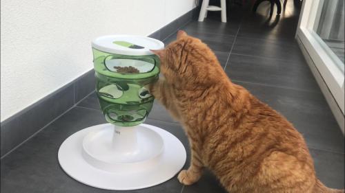 Kattenvoer spel. Als nieuw! Ideaal voor katten die niet/weinig buiten komen