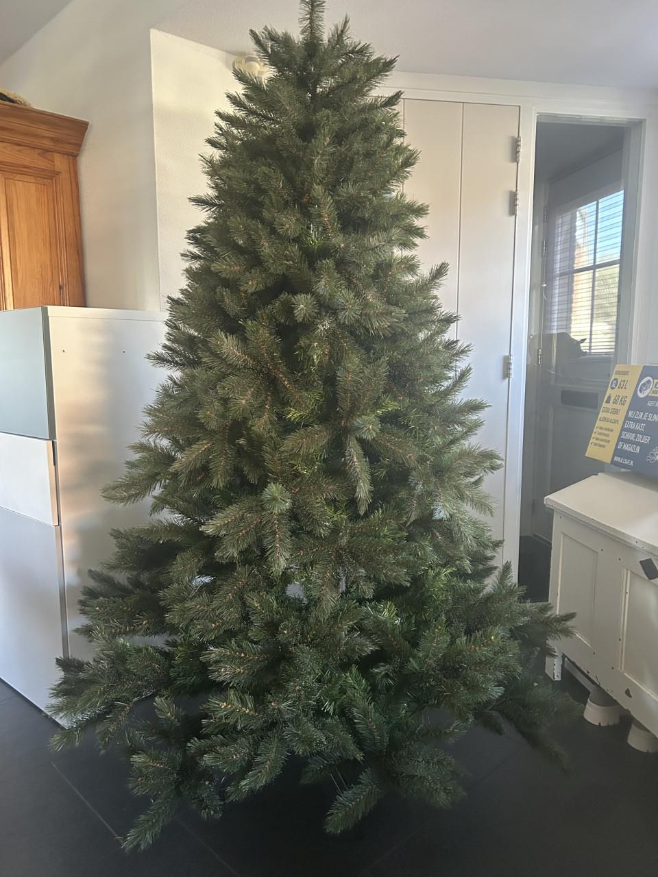 Kerstboom 2.00 hoog , afkomstig vd Intratuin Zeer mooi!