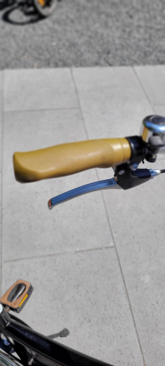 Meisjes fiets