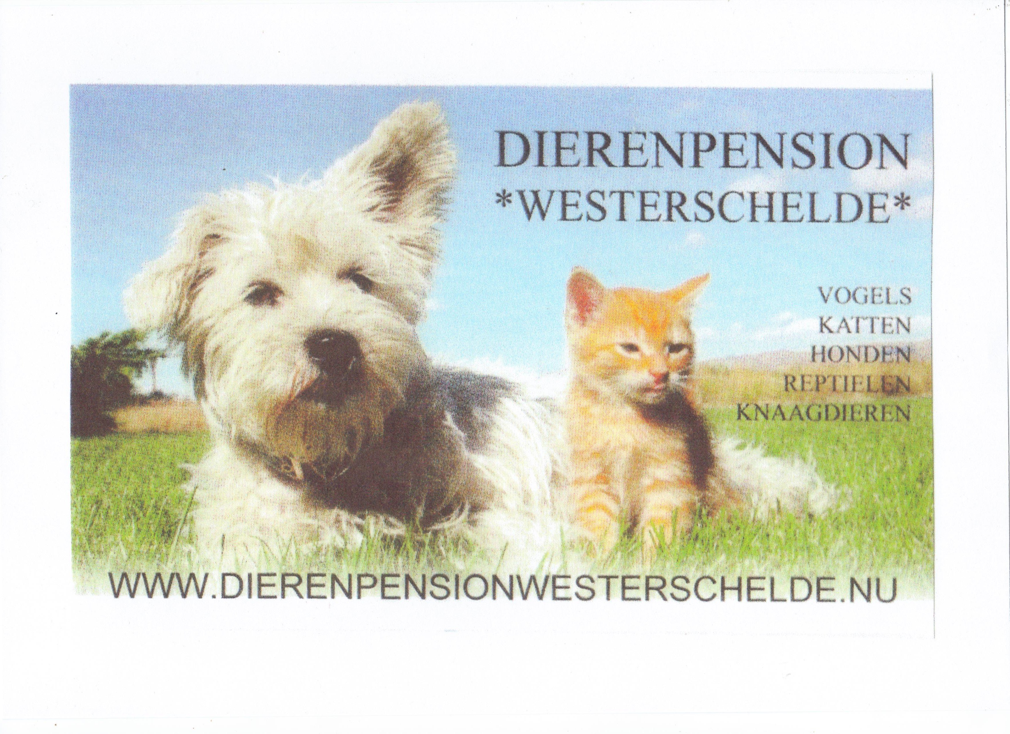 Dierenpension Westerschelde