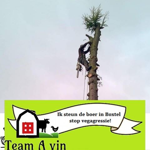 bartvanbroeck