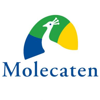 Molecaten Park Hoogduin