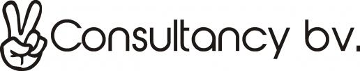 V Consultancy bv
