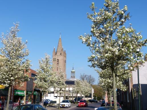 pjvandijk