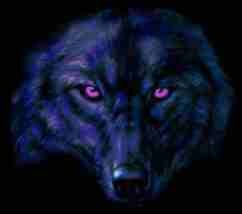 wolfman