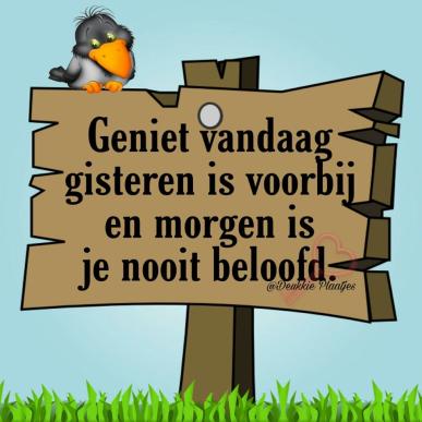 Anne83
