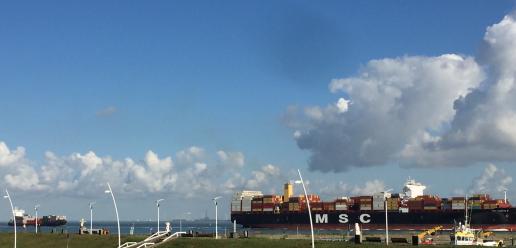 Westerschelde Terneuzen