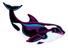 orca