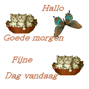 haverstrae